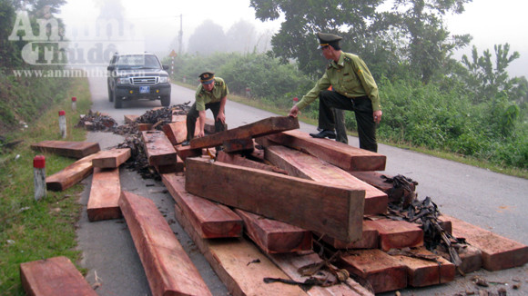 Phát hiện 46 phách gỗ lậu dưới chân đèo ảnh 1