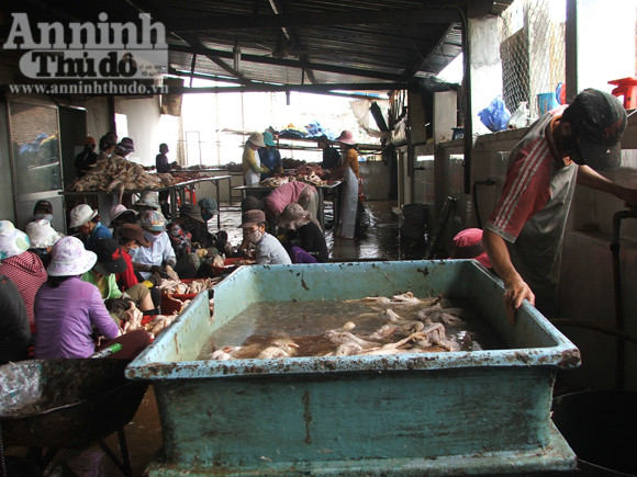 Nhà báo bị tấn công, “giam” trong xưởng vịt ảnh 2