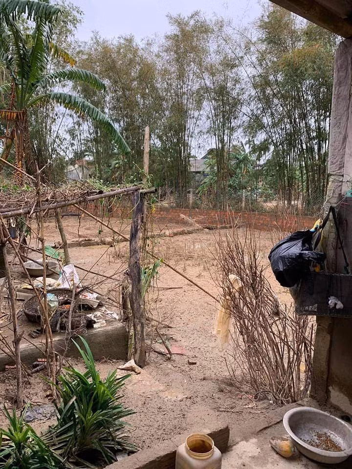 Thông tin bất ngờ liên quan đến việc Thủy Tiên tuyên bố tạm hoãn trao quà cứu trợ tại Quảng Trị ảnh 4