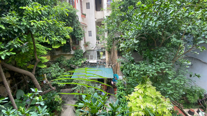 Khu vườn phía trước ngôi biệt thự nhìn từ trên cao, được ví như "khu rừng nhỏ" với rất nhiều loại cây có tuổi đời hàng chục năm.