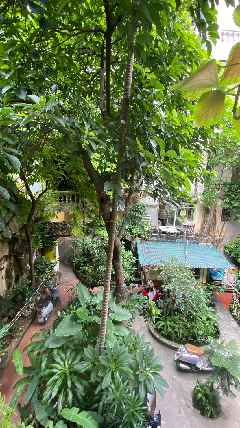 Một góc sân chính giữa ngôi biệt thự vườn nhìn từ trên cao. Khoảng sân này là nơi có chiếc giếng cổ chưa rõ niên đại và chiếc bể tiểu cảnh tạo thành "đôi mắt ngọc" trong tổng thể thiết kế cảnh quan. Một góc sân chính giữa ngôi biệt thự vườn nhìn từ trên cao. Khoảng sân này là nơi có chiếc giếng cổ chưa rõ niên đại và chiếc bể tiểu cảnh tạo thành "đôi mắt ngọc" trong tổng thể thiết kế cảnh quan.