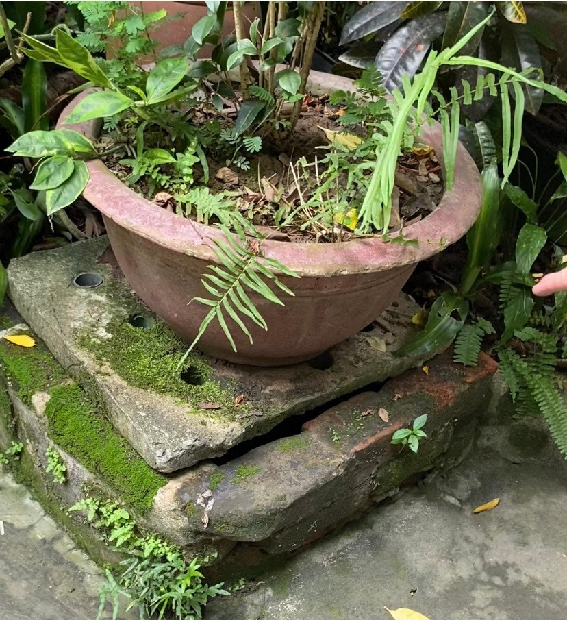 Chiếc giếng cổ nằm khiêm tốn giữa sân trước ngôi biệt thự. Ông Phạm Ngọc Giao cho biết, khi bố mẹ ông mua lại căn nhà này và xây dựng thì chiếc giếng đã có từ đời chủ cũ rồi. Tính ra chiếc giếng này phải có niên đại ít nhất trên 100 năm tuổi vì bố mẹ ông đều thọ hơn 100 tuổi mới mất. Xung quanh giếng được xây tường bao hình vuông nhưng miệng giếng hình tròn, rộng khoảng 80cm, sâu 3m. Giếng có nước rất trong và mát, mạch đứng. Ngày trước, gia đình ông Giao vẫn dùng nước giếng làm nước sinh hoạt. Những ngày hè trời nóng, mọi người lại pha nước nhân trần, cam thảo vào chai, đậy kín lại rồi thả xuống giếng ngâm dưới đó vài tiếng đồng hồ rồi kéo lên uống, nước mát như để trong tủ lạnh. Chiếc giếng cổ nằm khiêm tốn giữa sân trước ngôi biệt thự. Ông Phạm Ngọc Giao cho biết, khi bố mẹ ông mua lại căn nhà này và xây dựng thì chiếc giếng đã có từ đời chủ cũ rồi. Tính ra chiếc giếng này phải có niên đại ít nhất trên 100 năm tuổi vì bố mẹ ông đều thọ hơn 100 tuổi mới mất. Xung quanh giếng được xây tường bao hình vuông nhưng miệng giếng hình tròn, rộng khoảng 80cm, sâu 3m. Giếng có nước rất trong và mát, mạch đứng. Ngày trước, gia đình ông Giao vẫn dùng nước giếng làm nước sinh hoạt. Những ngày hè trời nóng, mọi người lại pha nước nhân trần, cam thảo vào chai, đậy kín lại rồi thả xuống giếng ngâm dưới đó vài tiếng đồng hồ rồi kéo lên uống, nước mát như để trong tủ lạnh.