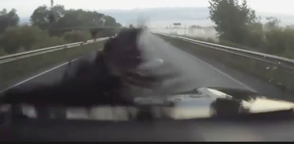 Clip ô tô đang lưu thông bị đàn quạ "tấn công" ảnh 3