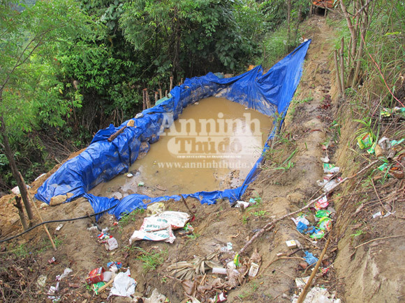 "Đột kích” bãi vàng trên đỉnh Cư Kuin ảnh 6