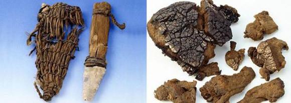 Xác ướp 5000 năm tuổi Otzi và lời nguyền bí ẩn ảnh 3