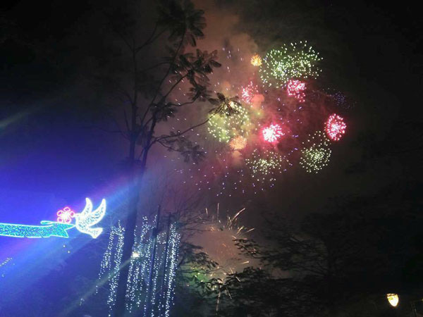 Cả nước hân hoan đón mừng năm mới Bính Thân 2016 ảnh 15