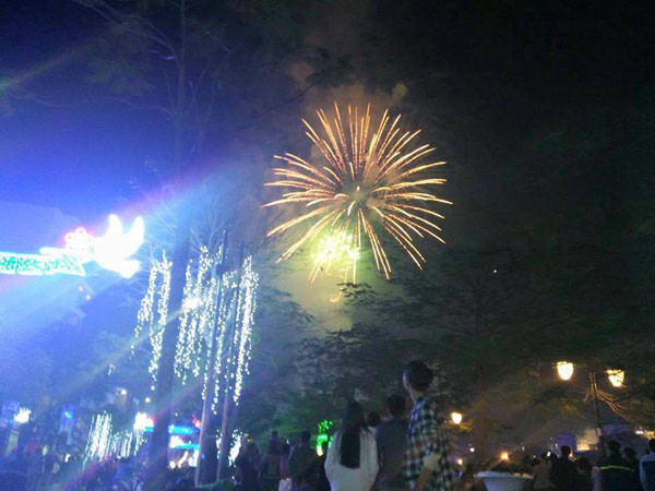Cả nước hân hoan đón mừng năm mới Bính Thân 2016 ảnh 14