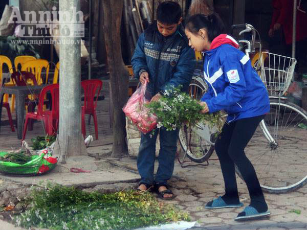 Cả nước hân hoan đón mừng năm mới Bính Thân 2016 ảnh 61