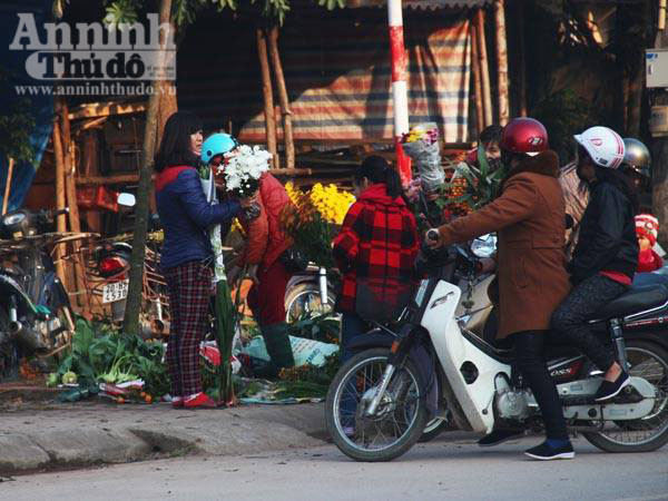 Cả nước hân hoan đón mừng năm mới Bính Thân 2016 ảnh 60