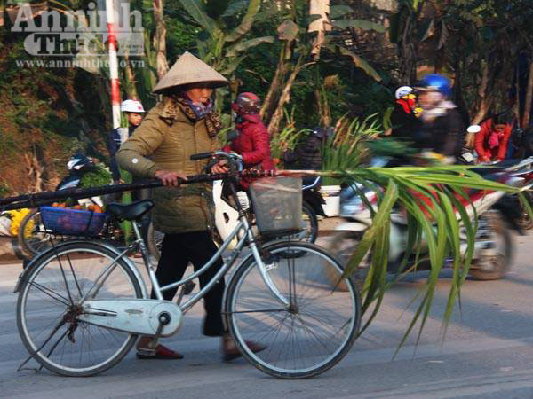 Cả nước hân hoan đón mừng năm mới Bính Thân 2016 ảnh 59