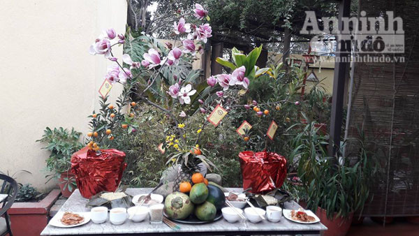 Cả nước hân hoan đón mừng năm mới Bính Thân 2016 ảnh 77