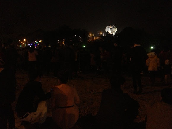 Rộn ràng niềm vui trong ánh sáng rực rỡ của pháo hoa đêm giao thừa ảnh 22