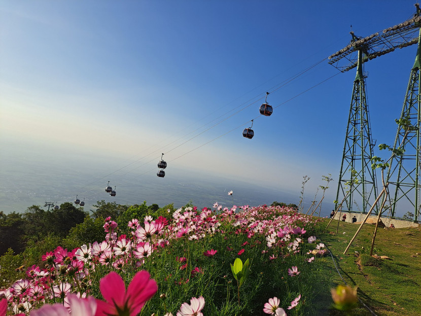 Đỉnh núi Bà Đen ngập tràn trong sắc hoa Đỉnh núi Bà Đen ngập tràn trong sắc hoa
