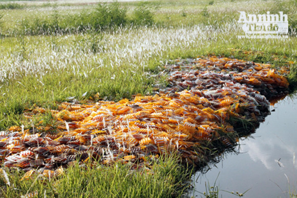 Đổ hàng nghìn hộp tân dược ra cánh đồng ảnh 3