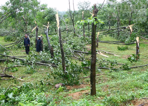 Lốc xoáy làm tốc mái hơn 400 nhà dân ảnh 3