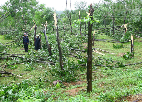 Lốc xoáy làm tốc mái hơn 400 nhà dân ảnh 3