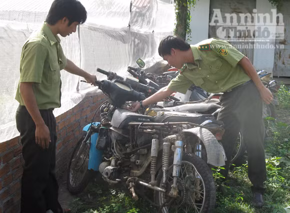Kiểm lâm bất lực nhìn rừng "chảy máu" ảnh 2