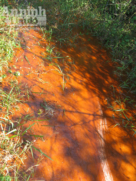 Xe bồn "đấu đầu" với xe khách, hàng chục hành khách hoảng loạn ảnh 6