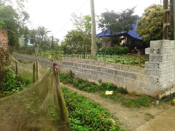 Chấn động, nữ sinh 17 tuổi bị sát hại dã man với 55 nhát chém trên người ảnh 2