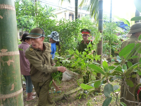 Tri ân các Anh hùng liệt sỹ ảnh 5