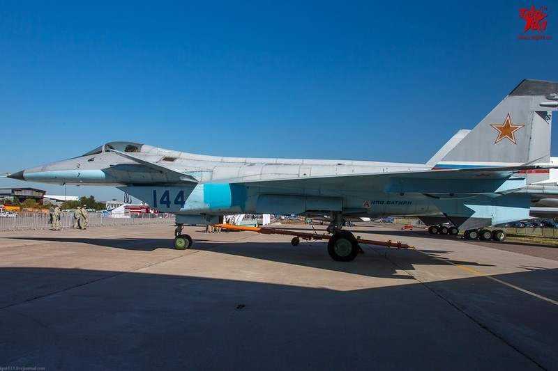 Một chuyên gia từ tạp chí Popular Science nói rằng để phục hồi trạng thái của máy bay sau một tư thế thao diễn có phần cực đoan, cánh mũi cần phải có diện tích lớn. Kích thước của chúng là điểm yếu trong thiết kế “tàng hình”.