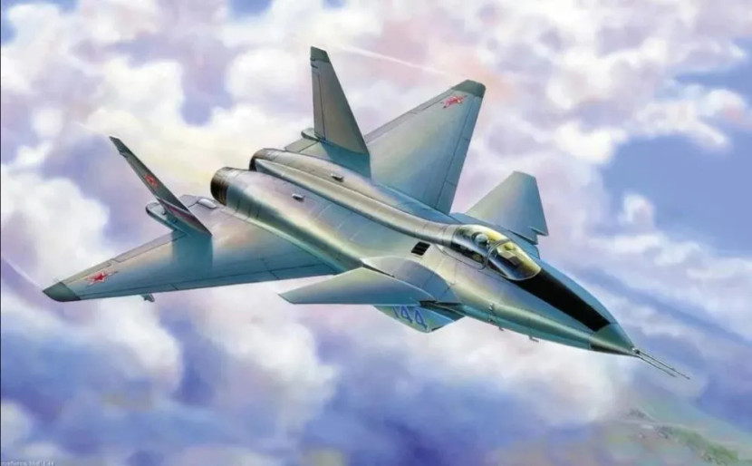 Tuy nhiên một số tính năng mà Nga thêm vào máy bay đã đặt câu hỏi nghiêm túc về khả năng tàng hình của MiG-1.44. Ví dụ điển hình là đôi cánh nhỏ bên cạnh buồng lái, chúng được biết đến với cái tên cánh mũi.