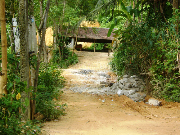 Mẫu thuẫn vì dọn đường đi, vác dao chém lìa cổ hàng xóm ảnh 2