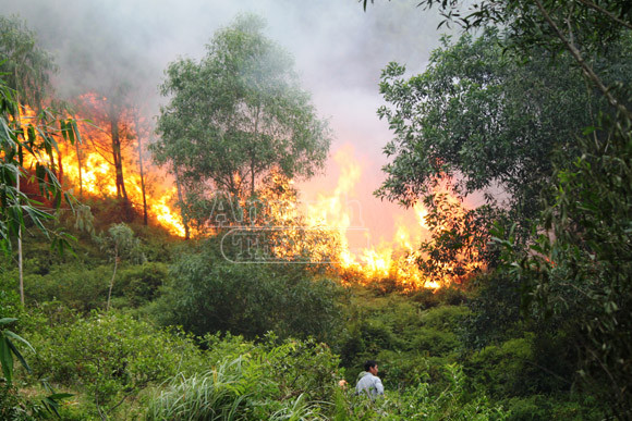 Cháy rừng kéo dài, 500 người tham gia dập lửa ảnh 1