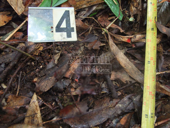 Đi săn, bắn nhầm anh họ vì tưởng là… sóc ảnh 2