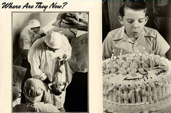 Những cái chết trùng hợp đến lạ kỳ ảnh 5