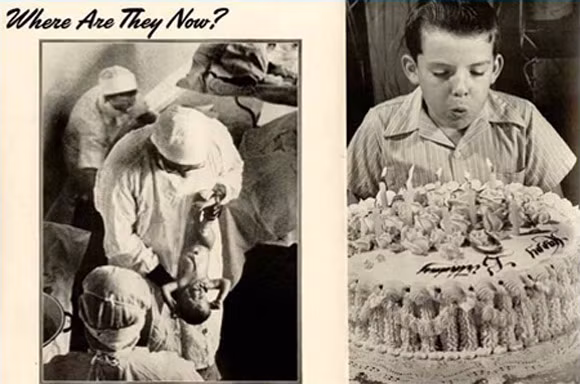 Những cái chết trùng hợp đến lạ kỳ ảnh 5