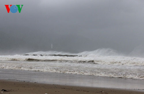 Đã có 10 người thiệt mạng do siêu bão Hải Yến ảnh 3