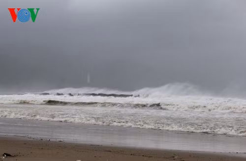 Đã có 10 người thiệt mạng do siêu bão Hải Yến ảnh 3