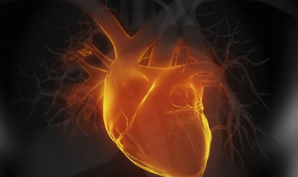 Những câu chuyện bí ẩn có thật không lời đáp ảnh 1