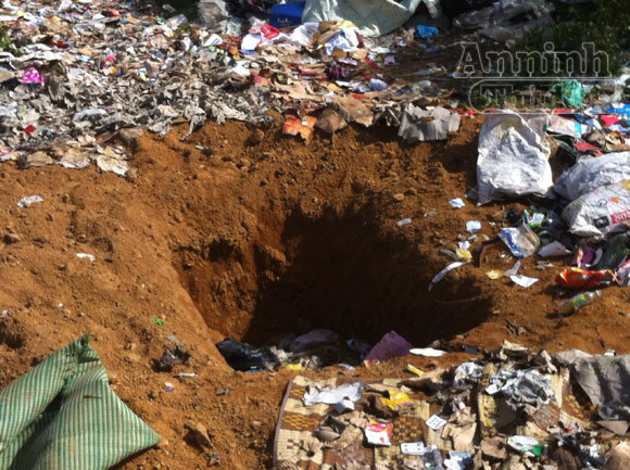 Móc hố chôn tiêu hủy, lấy trộm 94 cá thể rùa quý hiếm ảnh 2