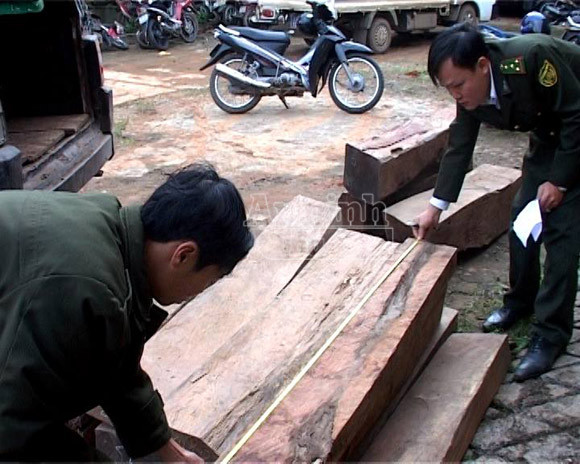 Bắt 2 vụ buôn gỗ lậu trị giá gần 300 triệu đồng ảnh 1