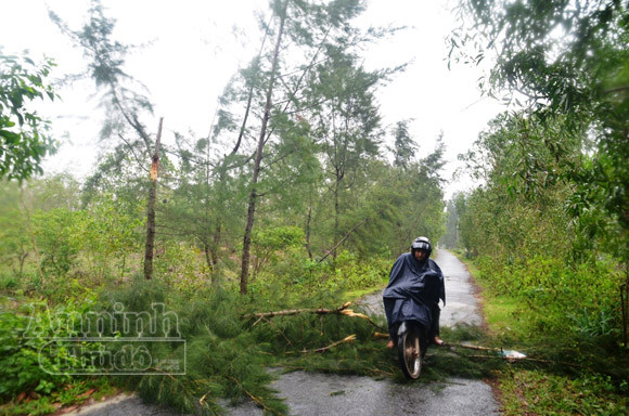 Mở sẵn lô cốt, đón dân tránh siêu bão ảnh 1