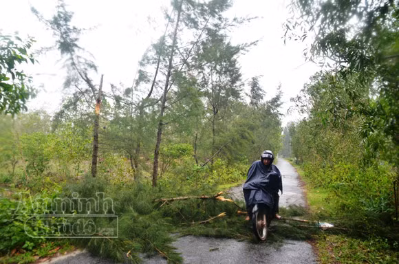 Mở sẵn lô cốt, đón dân tránh siêu bão ảnh 1