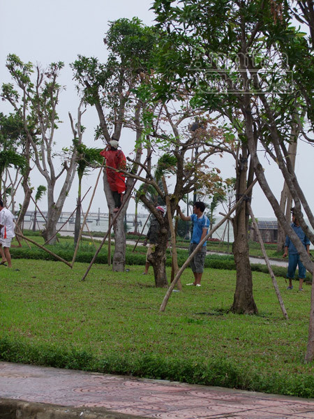 Mở sẵn lô cốt, đón dân tránh siêu bão ảnh 11