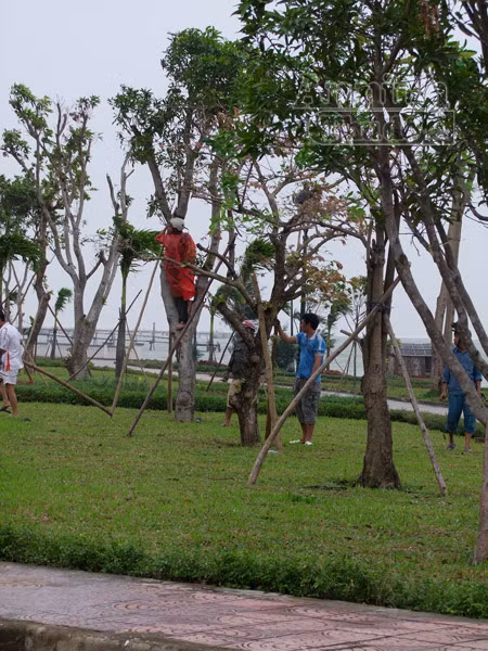 Mở sẵn lô cốt, đón dân tránh siêu bão ảnh 11