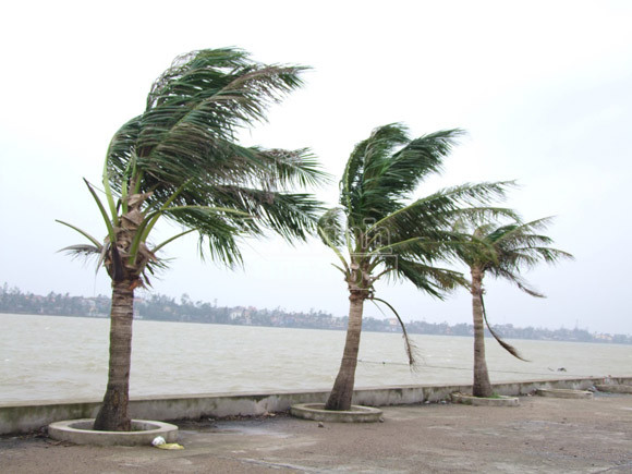 Mở sẵn lô cốt, đón dân tránh siêu bão ảnh 13