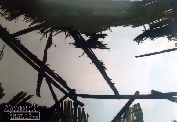 Xông vào công trường đốt máy ủi, đuổi đánh công nhân ảnh 4