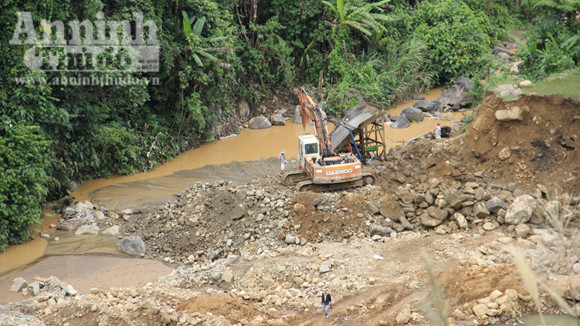 Ngang nhiên tàn phá ruộng để tìm vàng ảnh 1