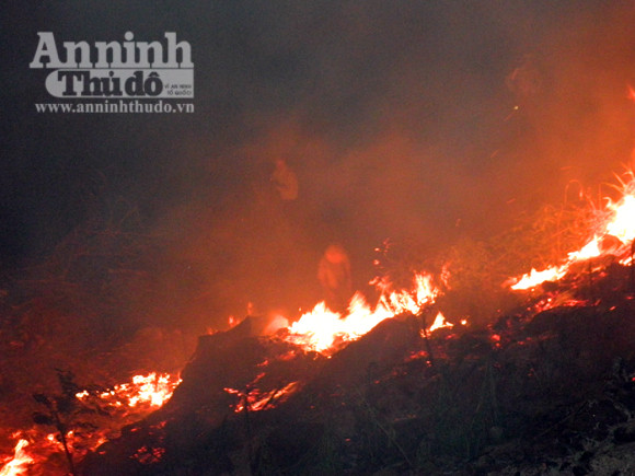 Quảng Ngãi: Người dân bất cẩn gây cháy rừng ảnh 1