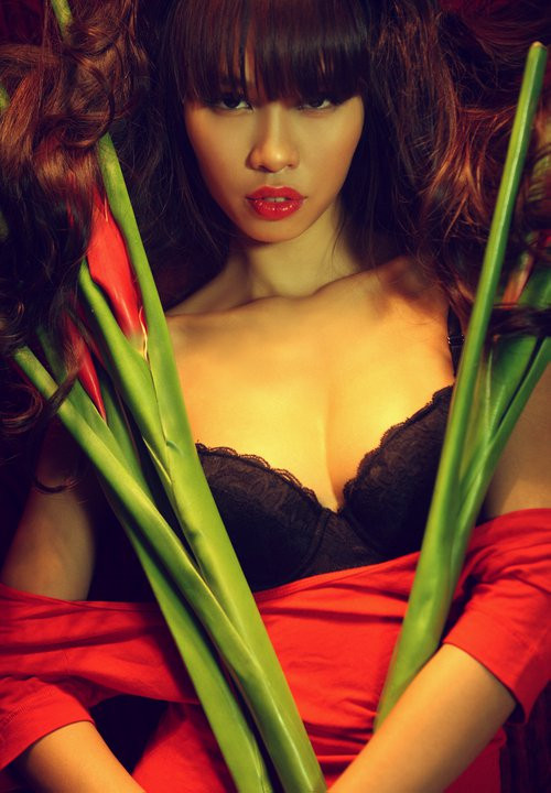 Hà Anh tâm sự về "Thị phi showbiz" ảnh 2