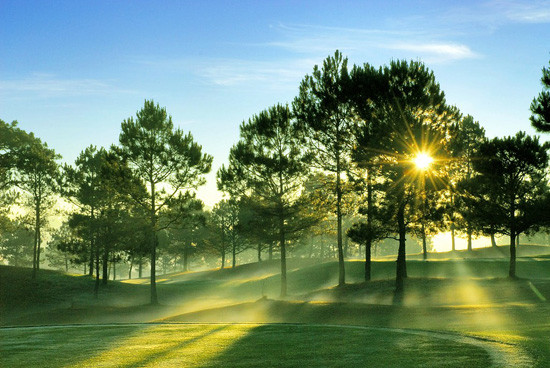 Vấn vương với Đà Lạt quyến rũ ảnh 1