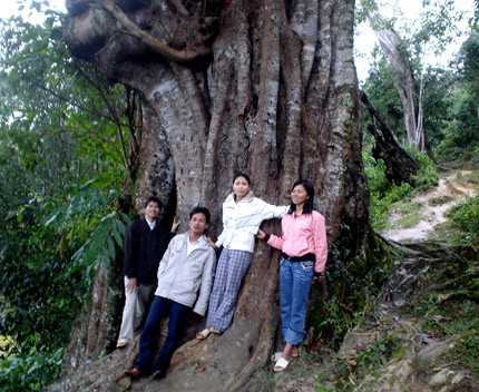 Thực hư chuyện cúng tế thần rắn bằng tiết canh... chuột ảnh 1