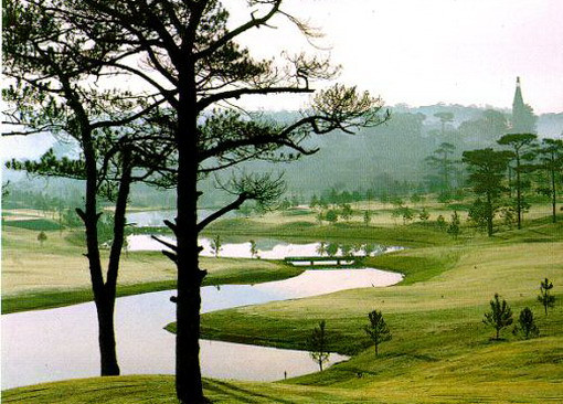 Vấn vương với Đà Lạt quyến rũ ảnh 2