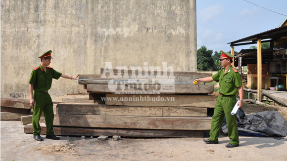 Phát hiện, xử lý nhiều vụ vận chuyển lâm sản trái phép ảnh 1