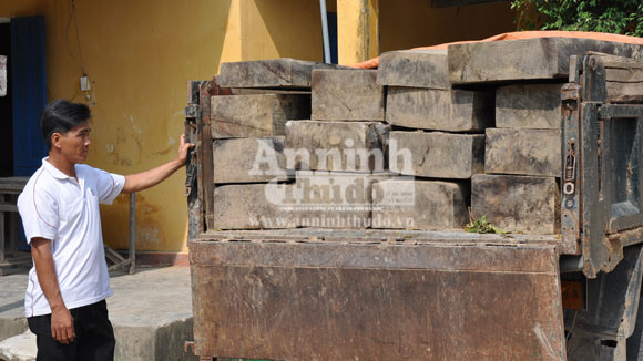 Phát hiện, xử lý nhiều vụ vận chuyển lâm sản trái phép ảnh 2